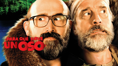 Imagen de ¿Para qué sirve un oso? - 2