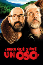 Imagen de ¿Para qué sirve un oso? - 1