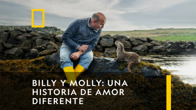 Billy Y Molly: Una Historia De Amor Diferente 