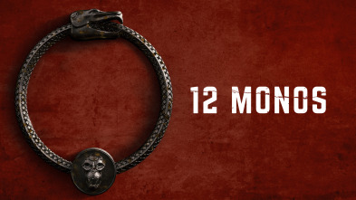 Imagen de 12 Monos (T3) - 2