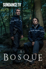 El bosque (T1)