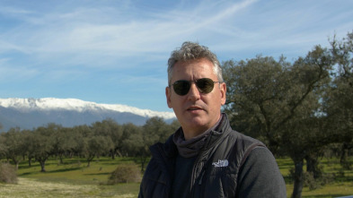 Imagen de Extraterrestres: Ellos...: Los OVNIs del Camino de Santiago - 2