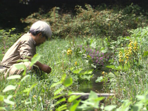Imagen de Miyazaki: el rey del anime - 3