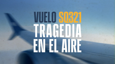 Imagen de Vuelo SQ321: tragedia en el aire - 2