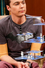 Imagen de The Big Bang Theory (T12): Ep.7 La derivación de la concesión de la beca - 1