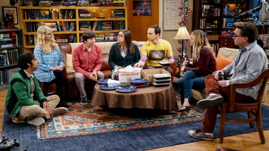 The Big Bang Theory (T12)