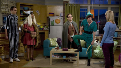 The Big Bang Theory (T1)