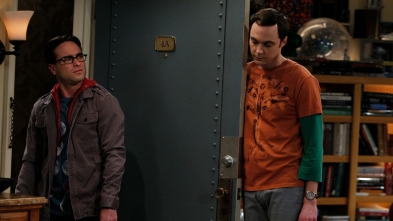 The Big Bang Theory (T4)