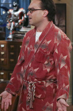 Imagen de The Big Bang Theory (T9): Ep.2 La oscilación de la separación - 1