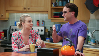 Imagen de The Big Bang Theory (T9): Ep.7 La resonancia de Spock - 2