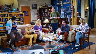 Imagen de The Big Bang Theory (T9): Ep.9 La permutación platónica - 2