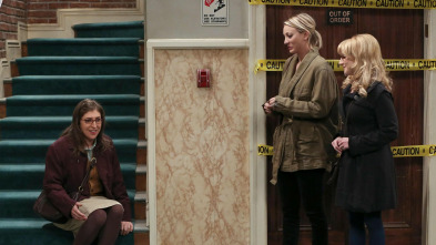 Imagen de The Big Bang Theory (T9): Ep.11 La excitación del estreno - 2