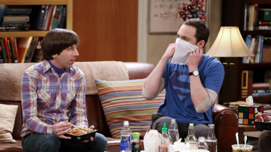 Imagen de The Big Bang Theory (T9): Ep.12 La sublimación de la venta - 2