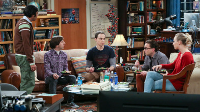 The Big Bang Theory (T9)