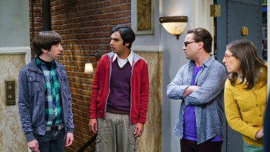 The Big Bang Theory (T9)