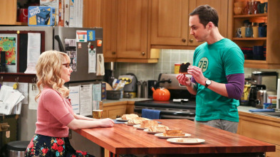 Imagen de The Big Bang Theory (T9): Ep.22 La fermentación de la bifurcación - 2