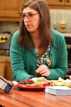 Imagen de The Big Bang Theory (T9): Ep.24 La convergencia de la convergencia - 1