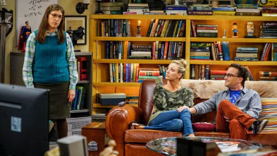 Imagen de The Big Bang Theory (T10): Ep.5 La contaminación del jacuzzi - 2