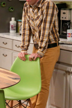 Imagen de The Big Bang Theory (T10): Ep.6 El catalizador de la patada fetal - 1