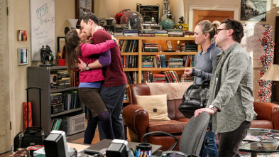 The Big Bang Theory (T10): Ep.13 La regulación del amor