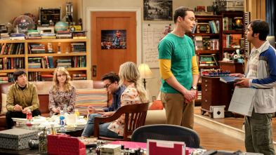 Imagen de The Big Bang Theory (T10): Ep.18 La identificación de la escotilla de escape - 2