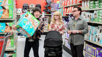 Imagen de The Big Bang Theory (T10): Ep.19 La fluctuación de la colaboración - 2