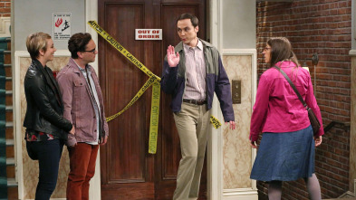 The Big Bang Theory (T8)