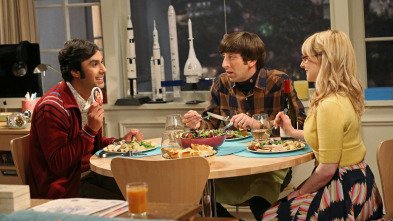 The Big Bang Theory (T8)