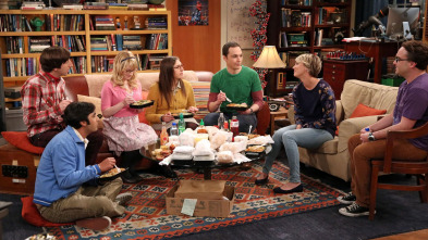 The Big Bang Theory (T8)