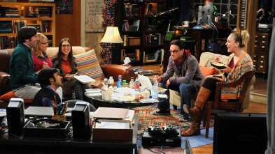 The Big Bang Theory (T5)