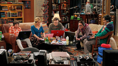 The Big Bang Theory (T5)