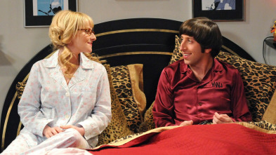 Imagen de The Big Bang Theory (T5): Ep.21 La excitación de Hawking - 2