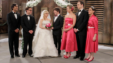 Imagen de The Big Bang Theory (T5): Ep.24 La reflexión de la cuenta atrás - 2