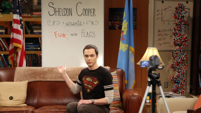 Imagen de The Big Bang Theory (T6): Ep.17 El aislamiento del monstruo - 2