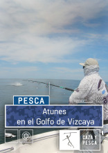Imagen de Atunes en el Golfo de Vizcaya - 1