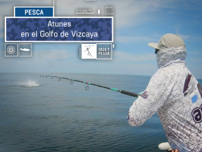 Atunes en el Golfo de Vizcaya