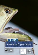 Arowana: el pez mono