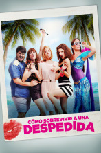 Imagen de Cómo sobrevivir a una despedida - 1
