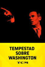 Imagen de Tempestad sobre Washington - 1