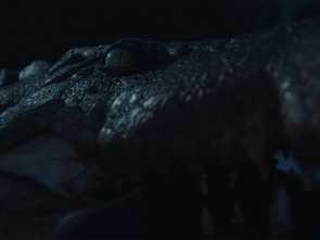 Imagen de Croc! - 7
