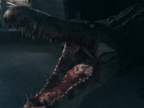 Imagen de Croc! - 8
