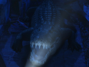 Imagen de Croc! - 9
