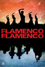 Imagen de Flamenco, Flamenco - 1