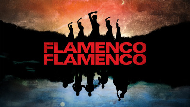 Flamenco, Flamenco