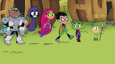 Teen Titans Go! (T7): Zimdings