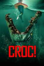 Imagen de Croc! - 1