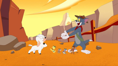 Imagen de El Show de Tom y Jerry (T5) - 2