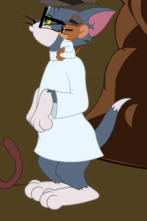 Imagen de El Show de Tom y Jerry (T5) - 1