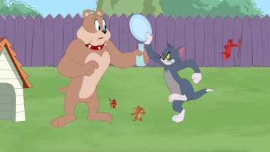 El Show de Tom y Jerry (T5)