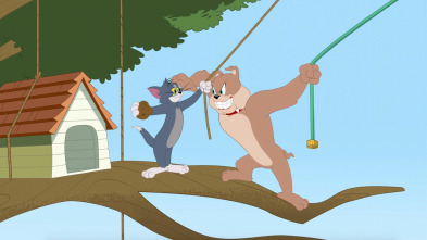 El Show de Tom y Jerry (T5)